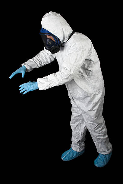 Best Attic Mold Removal  in Trenton, MI